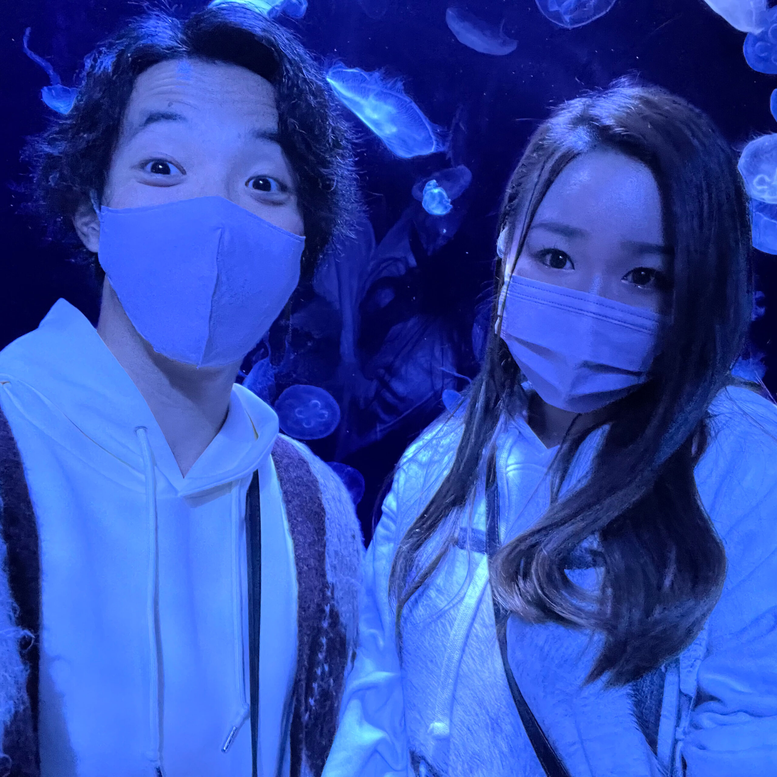 普段写真1